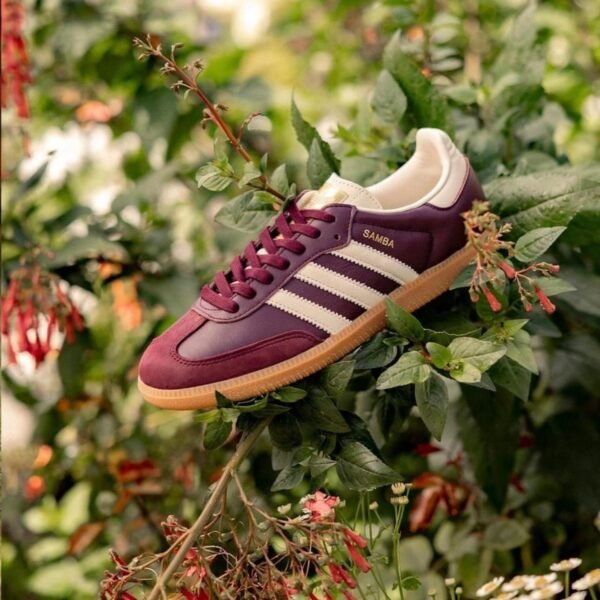 SAMBA BORDEAUX